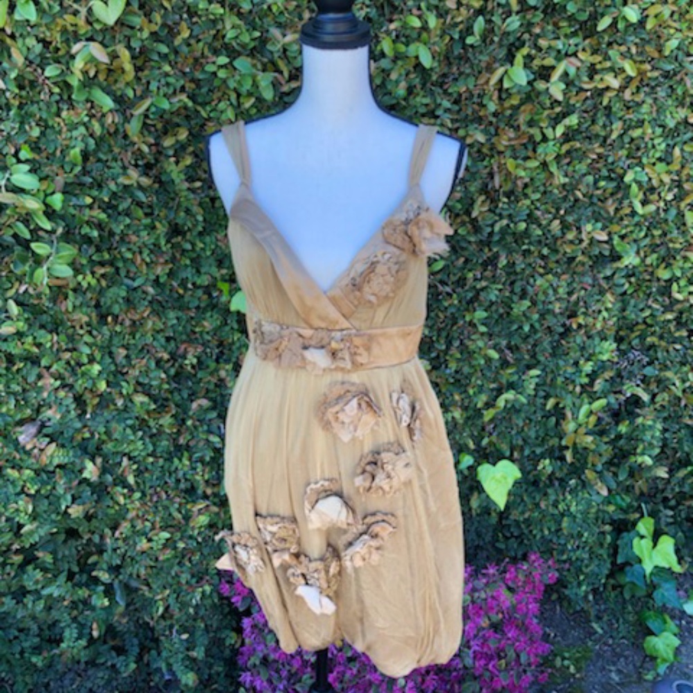 Nicola Finetti Bronze Gauze Dress